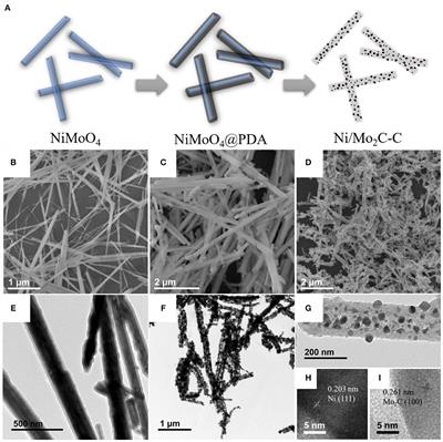 Ultra-High Electromagnetic Absorption Property of One-Dimensional Carbon-Supported Ni/Mo2C and Polyvinylidene Fluoride